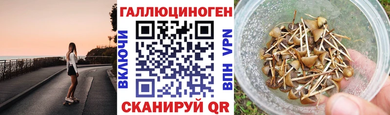 Псилоцибиновые грибы Psilocybe blacksprut ссылки Нерюнгри закладка